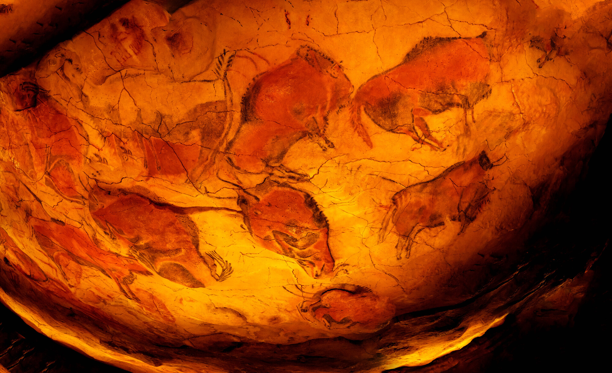 Bisontes-Altamira-Pintura-Rupestre-Prehistoria Pintura rupestre de bisontes en la Cueva de Altamira
